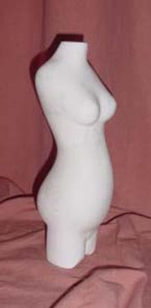 torso