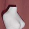 torso